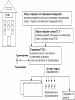 Годовой отчет енвд 2015