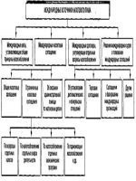 Рукописная доверенность пмр