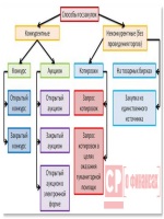 Тестовые сервера поинт бланк